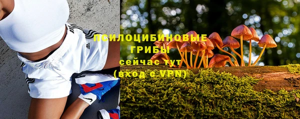 PSILOCYBIN Алексин