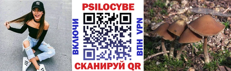 Псилоцибиновые грибы мухоморы где купить Остров